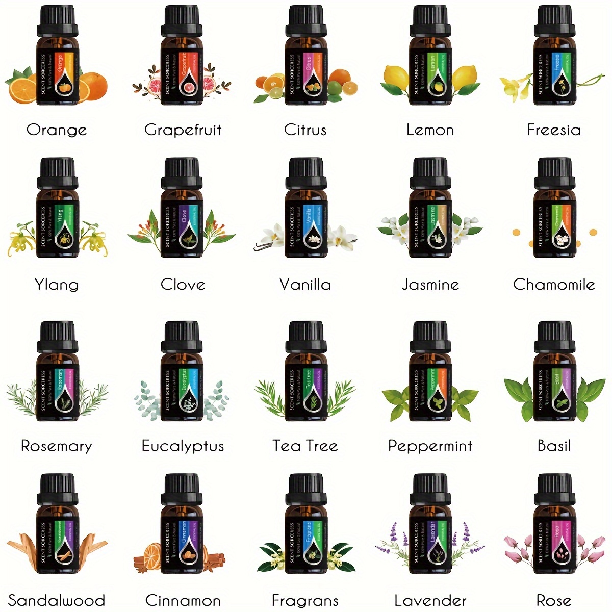 ชุดน้ำมันหอมระเหย 20 ชิ้น/ชุด  - Perfume Fragrance Oil บทวิจารณ์และราคา